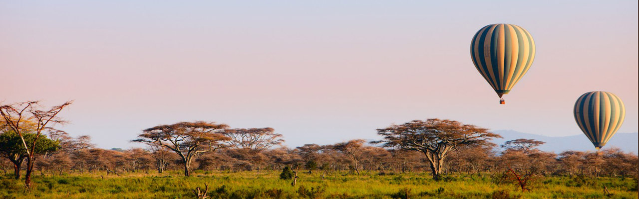 safari francophone en Tanzanie - Absolu Voyages